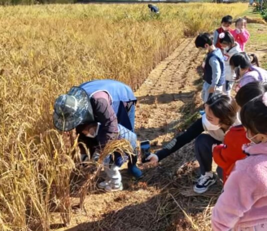경기도농수산진흥원, 경기도민텃밭에서 ‘어린이 가을잔치’ 개최